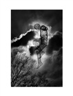 dailyPhoto9